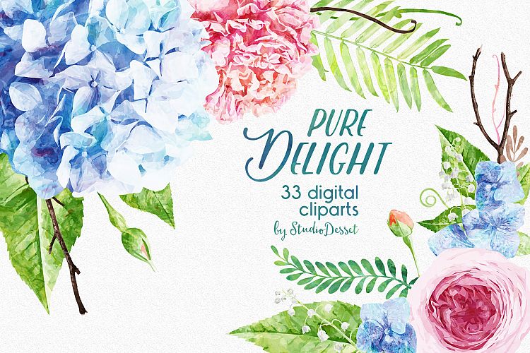 Flowers Watercolor Illustrations