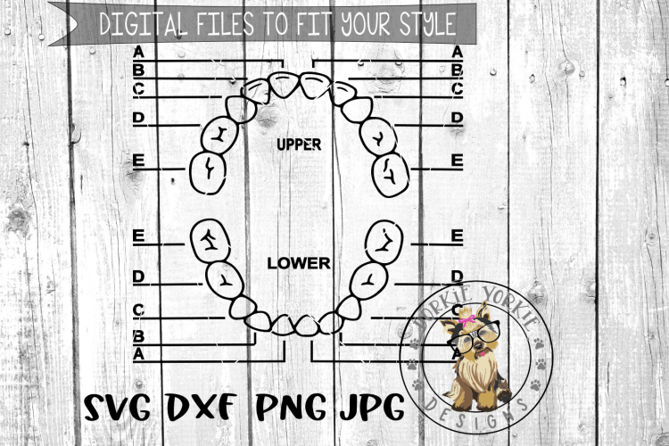 Tooth Fairy Printable Chart  - SVG cut file