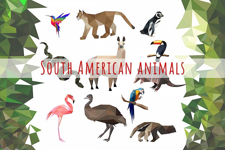 South American animals bundle