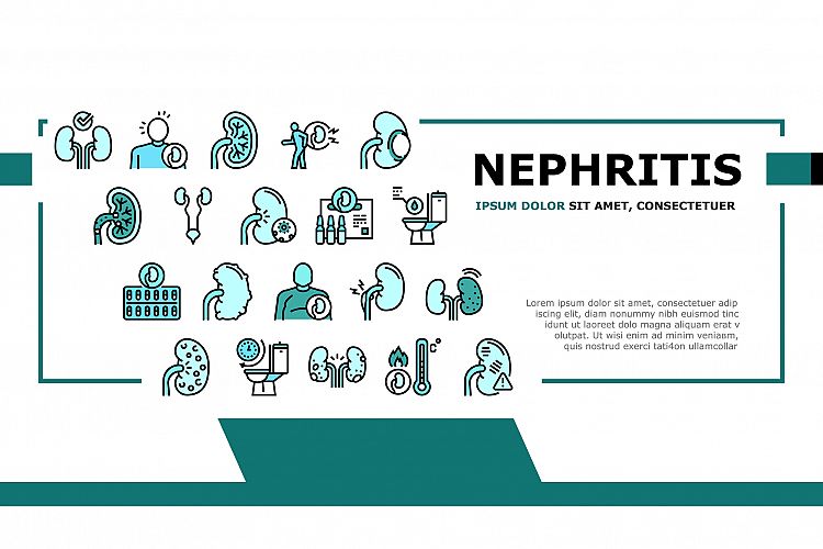 Nephritis Kidneys Landing Header Vector example image 1