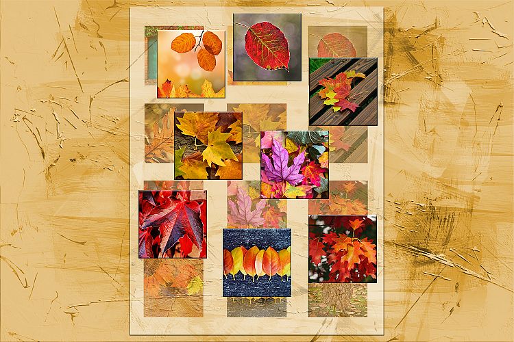 Fall Leaves, Digital Collage Sheet, Printable Images