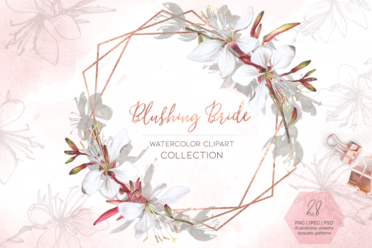 Blushing Bride Watercolor Clipart Floral Collection