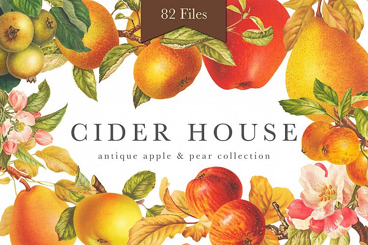 Cider House Antique Apple and Pear Graphics