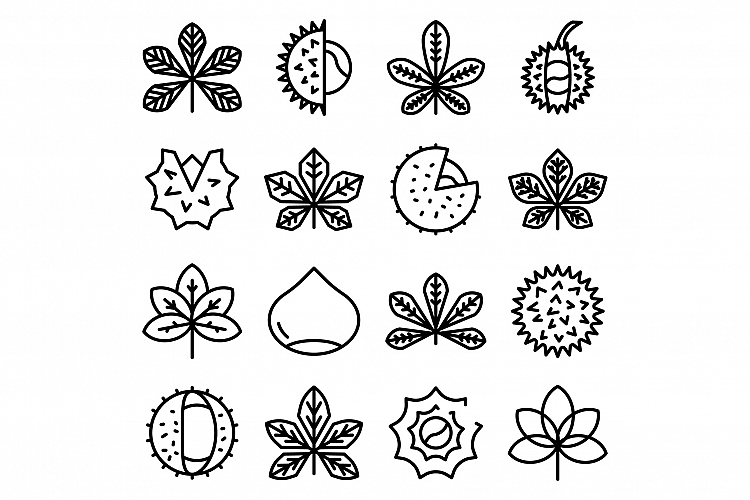 Leaf Outline Clipart Image 22