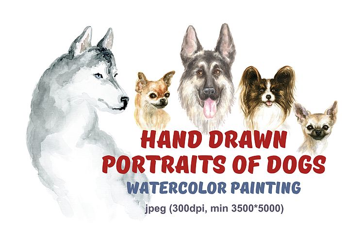 Hand drawn portraits of dogs. Watercolor painting. example image 1