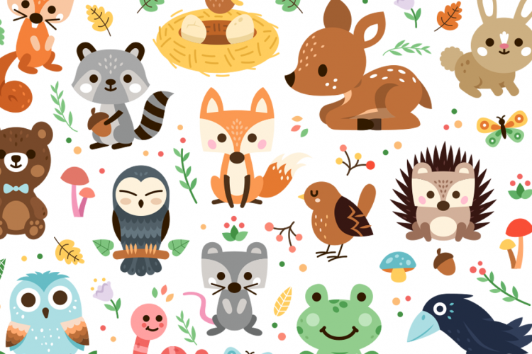 Woodland Decoration Animal Clipart