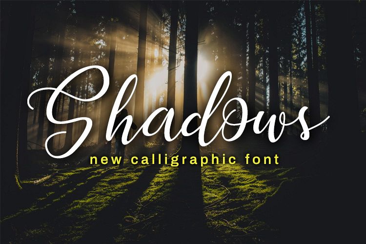 Shadows