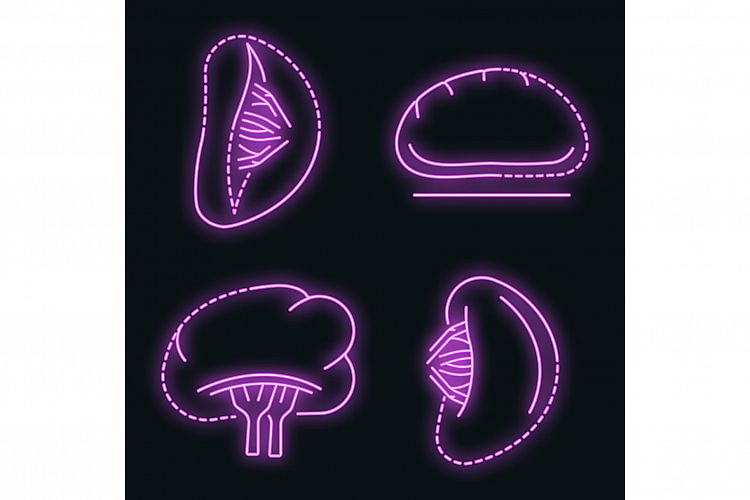 Spleen icon set vector neon example image 1