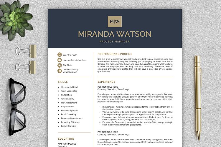 Resume Template for Word / CV Template / Professional Resume