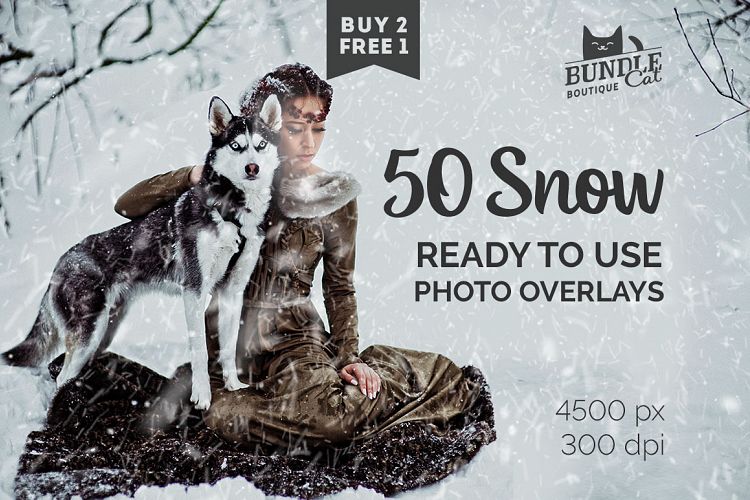 50 Falling Snow Photo Overlays