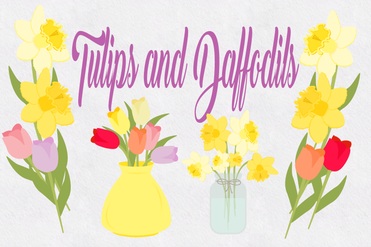 Tulips and Daffodils 