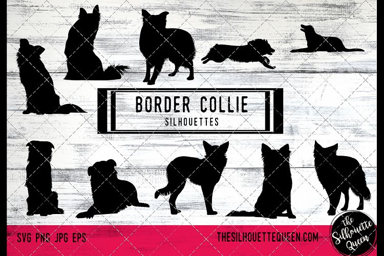 Border Collie Dog svg files cricut, silhouette clip art, Vec