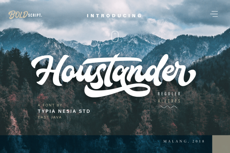 Houstander font duo