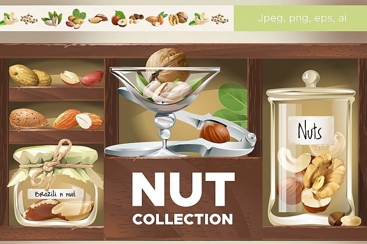 Collection of nuts. Vector illustration