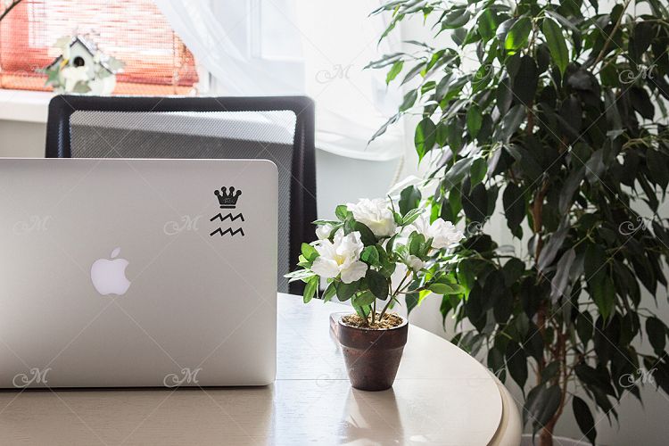 Green Workplace Macbook Mock-up, JPG