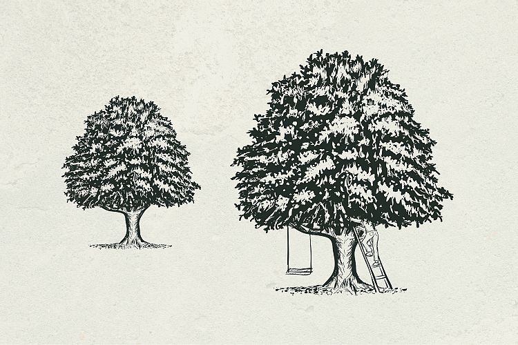 hand drawn tree vector illustration