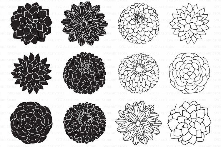 Dahlia Flowers SVG Files - Peony Flowers Outline,  Floral svg cutting files for Cricut and Silhouette - SVG, dxf, png included