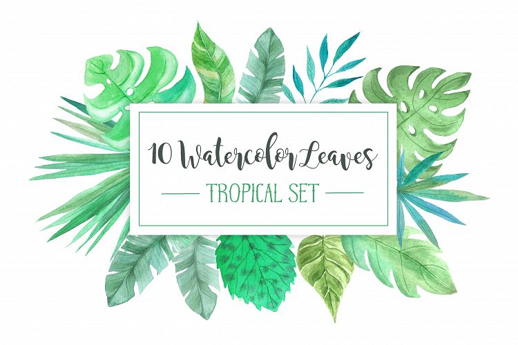 Watercolor Tropic Leaves Set