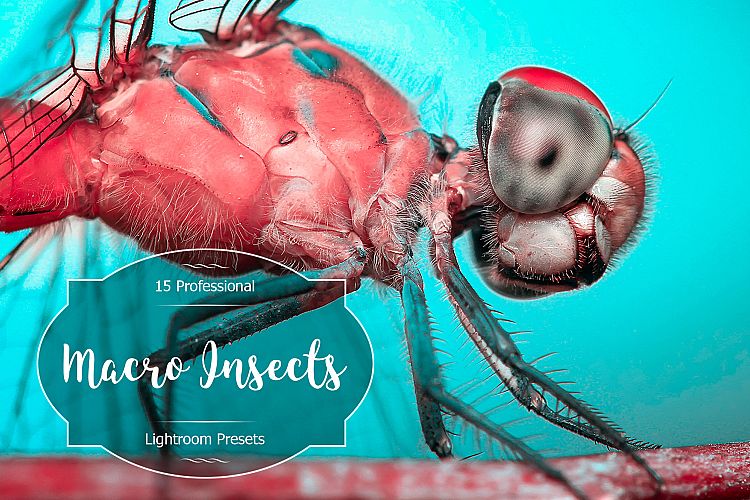 Macro Insects Lr Presets