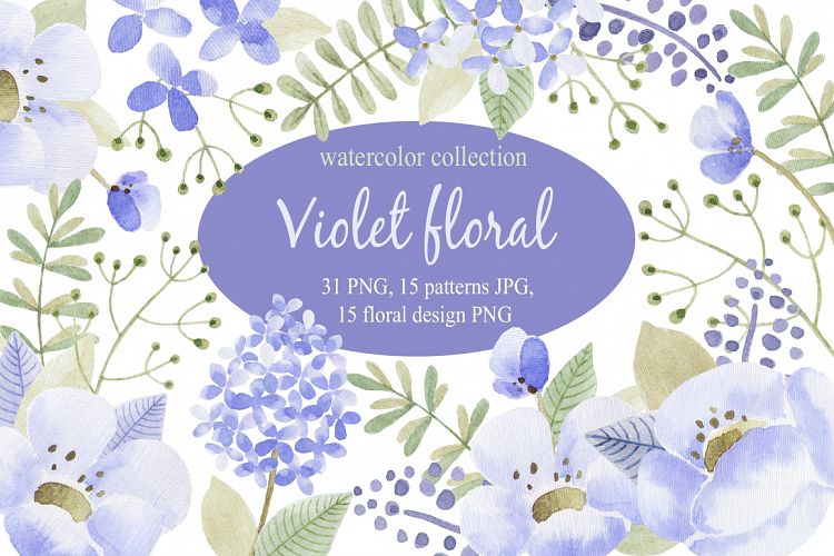 Violet flowers. Watercolor collection.