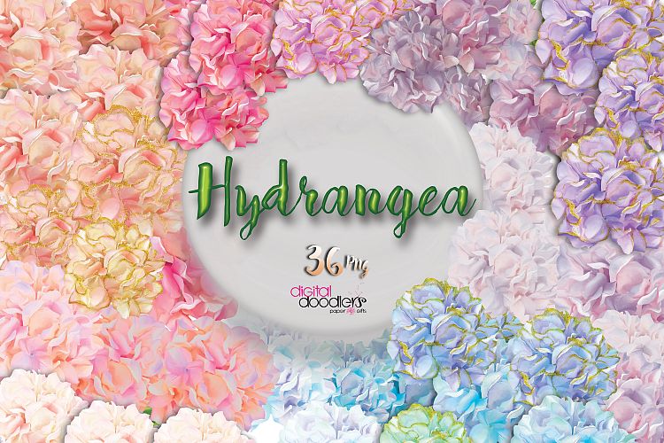 Ultimate Hydrangeas 