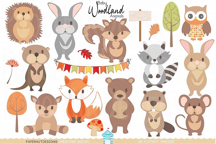 Baby Woodland Animals Clipart