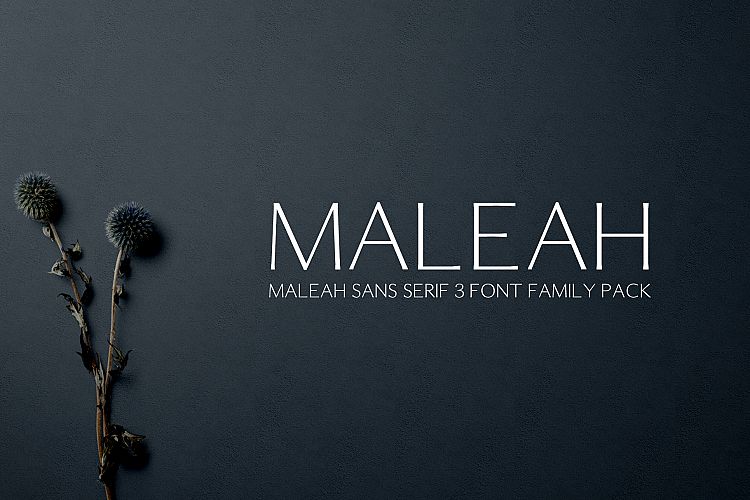 Maleah Sans Serif 2 Font Family Pack example image 1