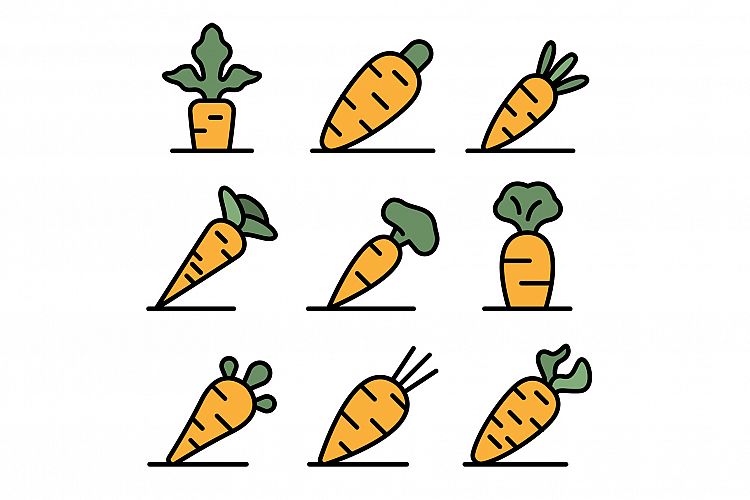 Carrot icons set vector flat