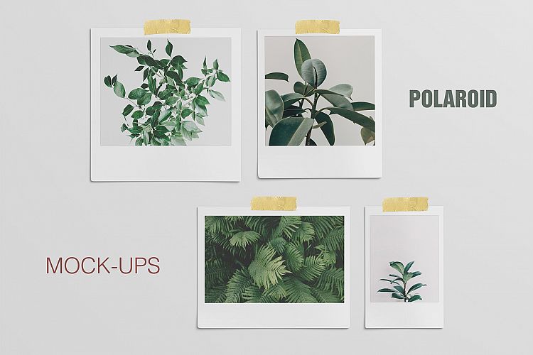 Polaroid Mockups Set