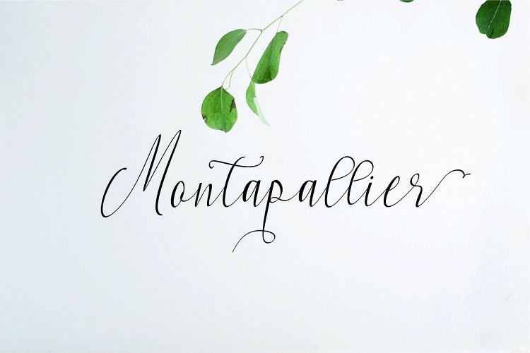 Montapallier script 2 style