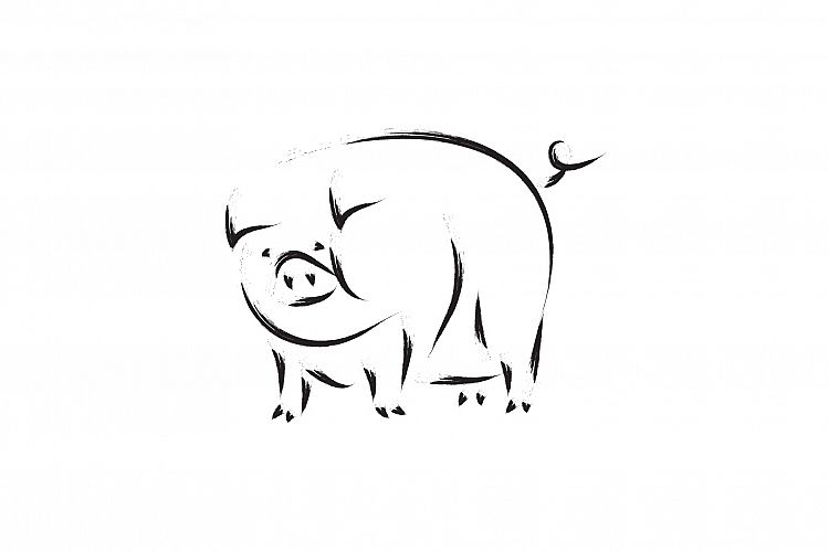 Sketch of pig.