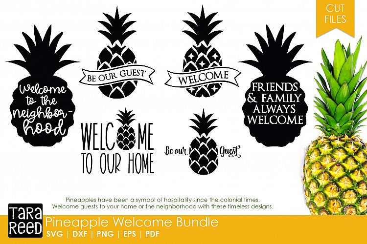 Pineapple Welcome Bundle