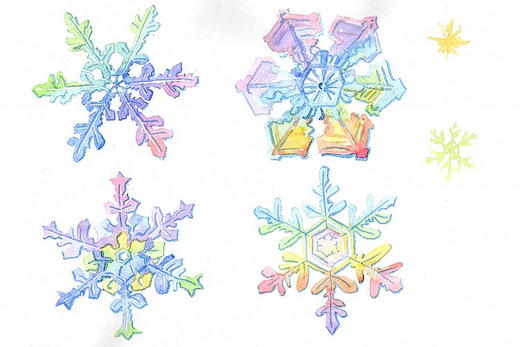 Aquarelle colorful snowflakes PNG set