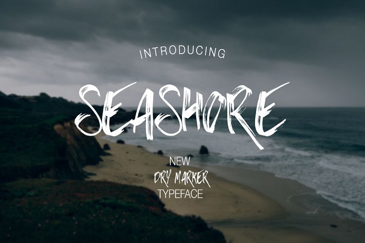 Seashore