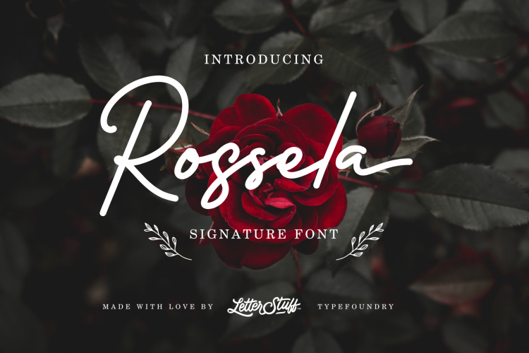 Rossela Signature Font   Extras