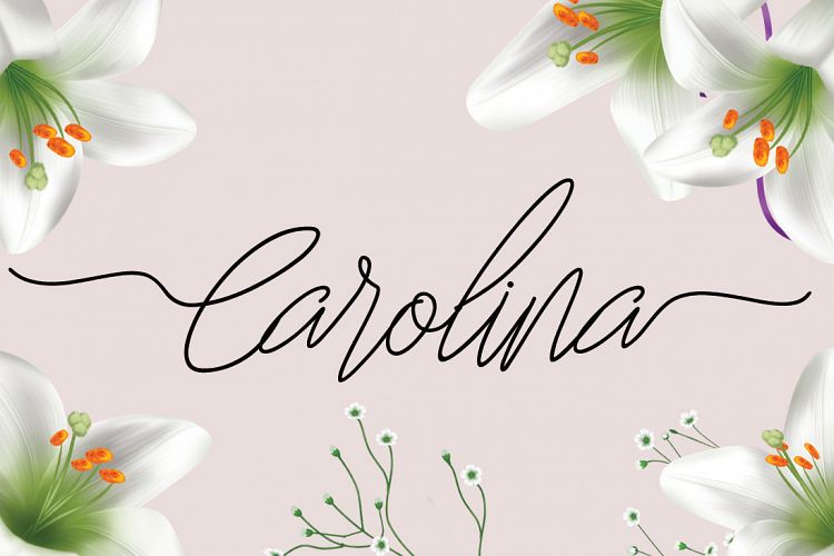 Carolina
