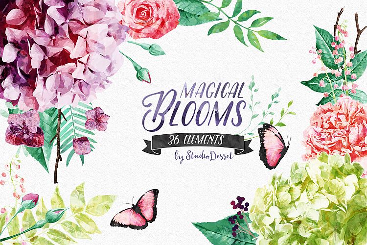 Flowers Watercolor Illustrations