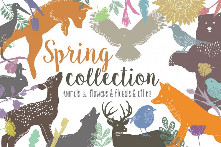 Spring Collection
