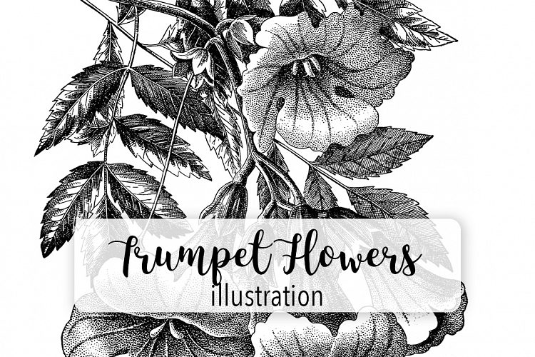 Trumpet Flowers - Vintage Florals