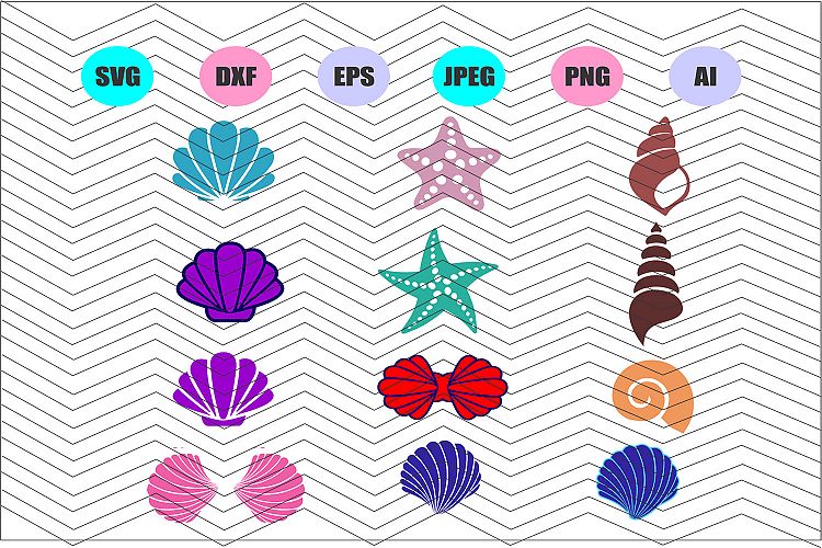 Seashells Svg, Seashell Svg,Cut Vector File Cricut Decal