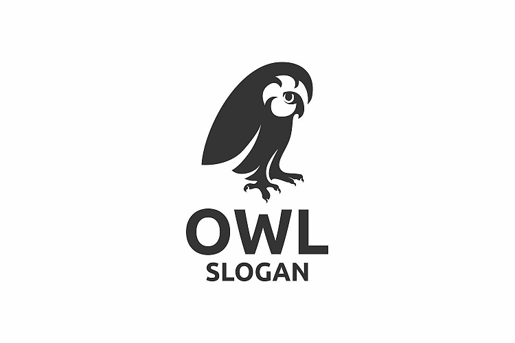 Owl example image 1