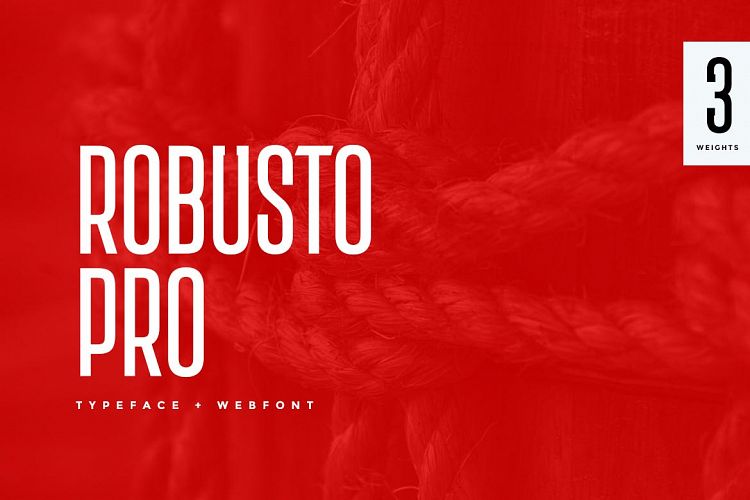 Robusto Pro Modern Typeface WebFont