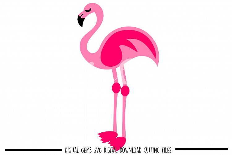 Download Flamingo SVG / DXF / EPS / PNG files (47589) | SVGs ...