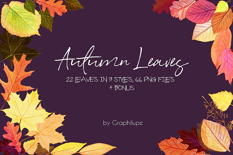 Autumn Leaves - Handcrafted Illustration Kit