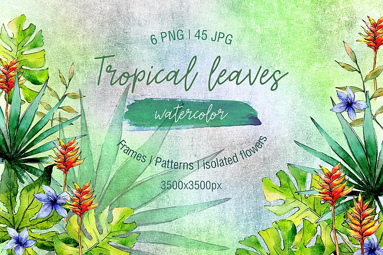 Green tropical leaves PNG watercolor set