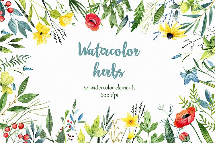 WATERCOLOR herbs, leaves, poppy, wild flowers