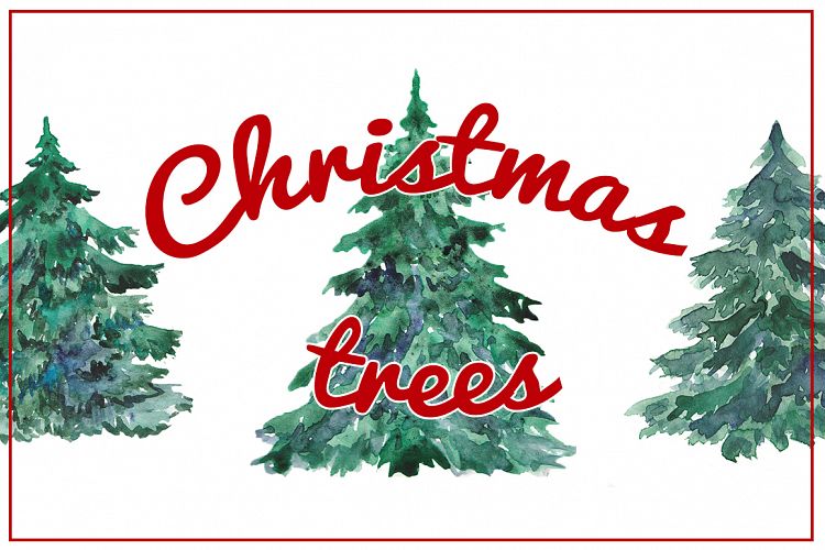 Watercolor Christmas trees