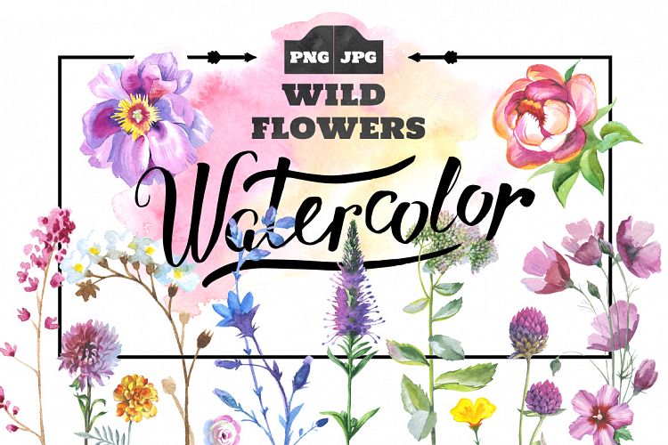 Wild Flowers watercolor PNG set