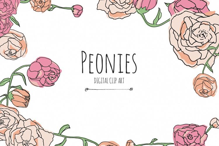 Peonies - Digital Clip Art