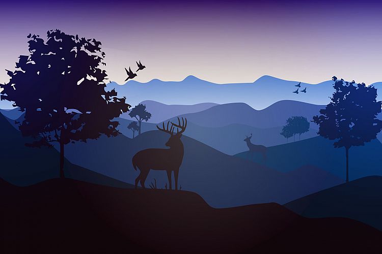 Landscape_Vector_Illustration_02